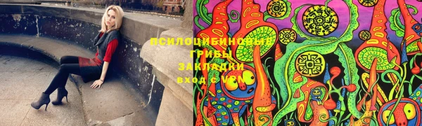 apvp Алексеевка