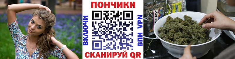 что такое   Тогучин  Канабис план 